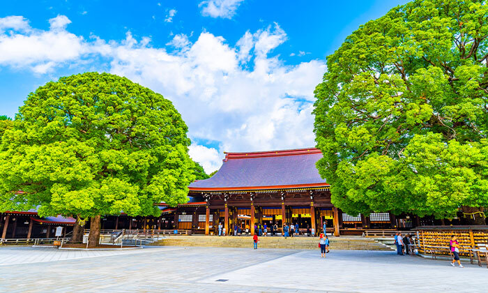 15 מסע בלתי נשכח: 13 ימי טיול מאורגן ביפן כולל סיורים, מקדשים וטיסות אל על ישירות