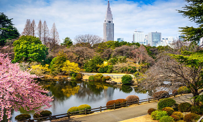 16 מסע בלתי נשכח: 13 ימי טיול מאורגן ביפן כולל סיורים, מקדשים וטיסות אל על ישירות