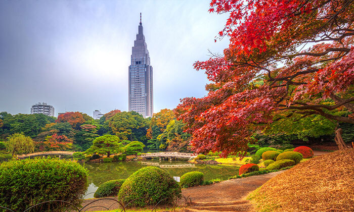 17 מסע בלתי נשכח: 13 ימי טיול מאורגן ביפן כולל סיורים, מקדשים וטיסות אל על ישירות