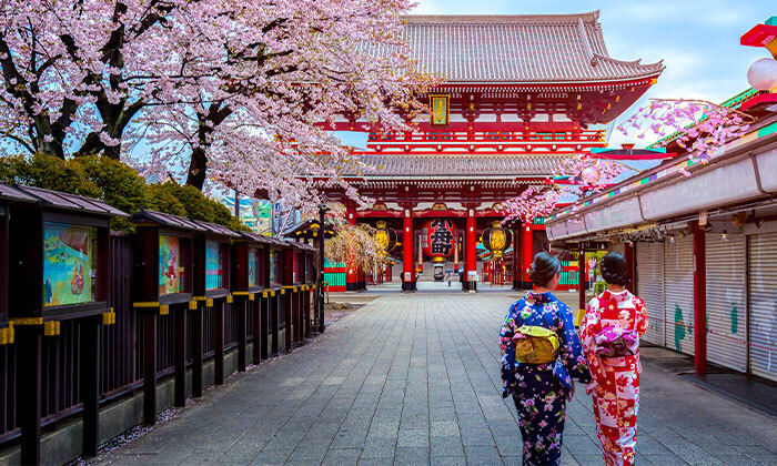 18 מסע בלתי נשכח: 13 ימי טיול מאורגן ביפן כולל סיורים, מקדשים וטיסות אל על ישירות