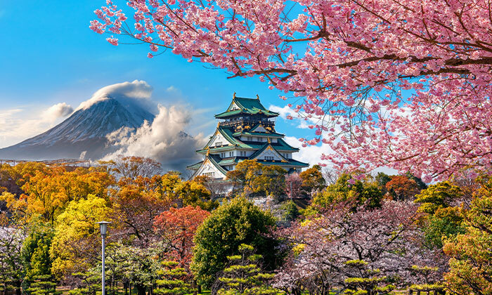 20 מסע בלתי נשכח: 13 ימי טיול מאורגן ביפן כולל סיורים, מקדשים וטיסות אל על ישירות