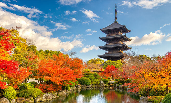 24 מסע בלתי נשכח: 13 ימי טיול מאורגן ביפן כולל סיורים, מקדשים וטיסות אל על ישירות