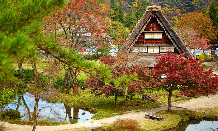 9 בין ערים מודרניות למקדשים עתיקים: 15 ימי טיול מאורגן ביפן, כולל סדנת סושי, טיסות וסיורים