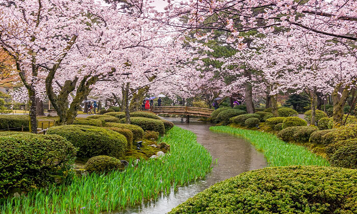 11 בין ערים מודרניות למקדשים עתיקים: 15 ימי טיול מאורגן ביפן, כולל סדנת סושי, טיסות וסיורים