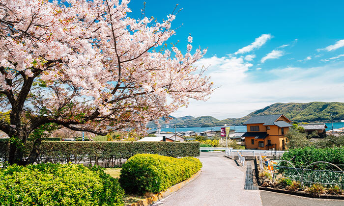 19 בין ערים מודרניות למקדשים עתיקים: 15 ימי טיול מאורגן ביפן, כולל סדנת סושי, טיסות וסיורים