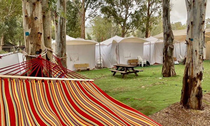 7 אי שם מול הכנרת: גלמפינג משפחתי באוהל ממוזג או בקתת עץ בחוף גולן, כולל כניסה לשמורת טבע