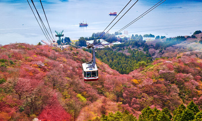3 בין הר פוג'י לרכבת הקליע: 13 ימי טיול מאורגן ביפן כולל טיסות, שייט וסיורים