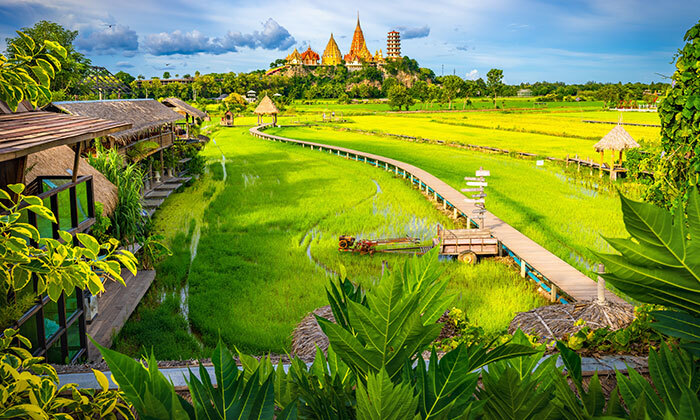 6 בין מקדשים וחופים: 14 ימי טיול מאורגן בתאילנד כולל מופע פולקלור, שיט נהרות וטיסות אל על ישירות